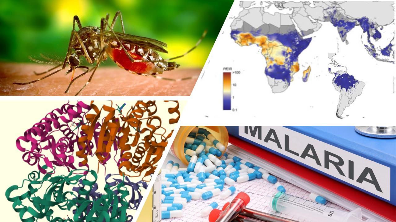 Mosquito biting, Malaria, Global spread, protein